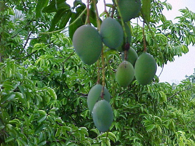 MVC_003F_003.jpg