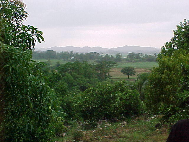 MVC_005F_005.jpg