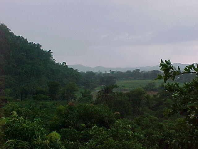 MVC_006F_005.jpg