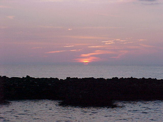 MVC_008F_003.jpg