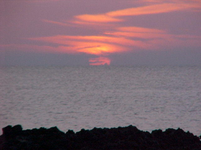 MVC_009F_003.jpg