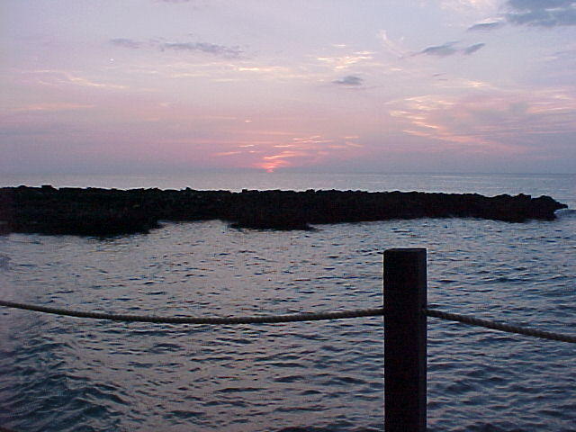 MVC_012F_002.jpg