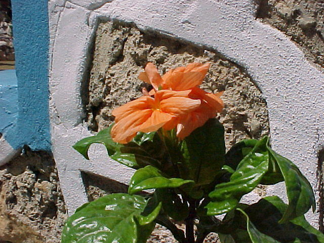MVC_013F_001.jpg