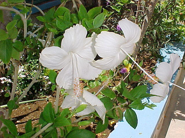 MVC_014F_002.jpg