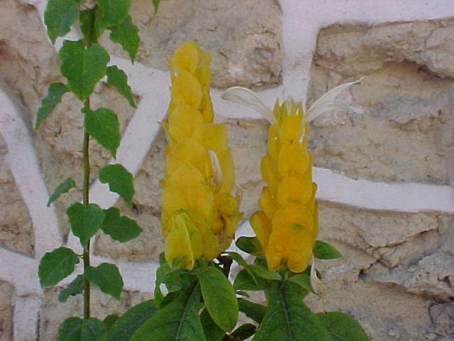 MVC_019F_001.jpg