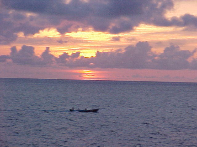 Mvc_011f_002_001.jpg