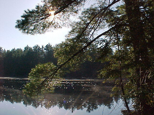 Mvc_023f.jpg