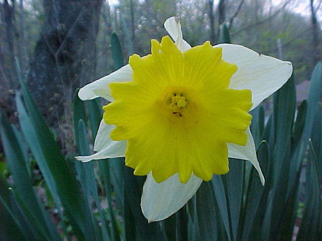 Mvc_043f.jpg