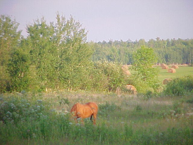 Mvc_001f_006.jpg