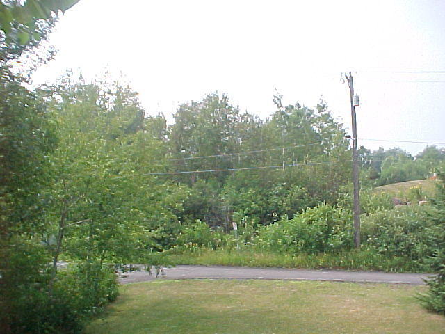 Mvc_002f_006.jpg