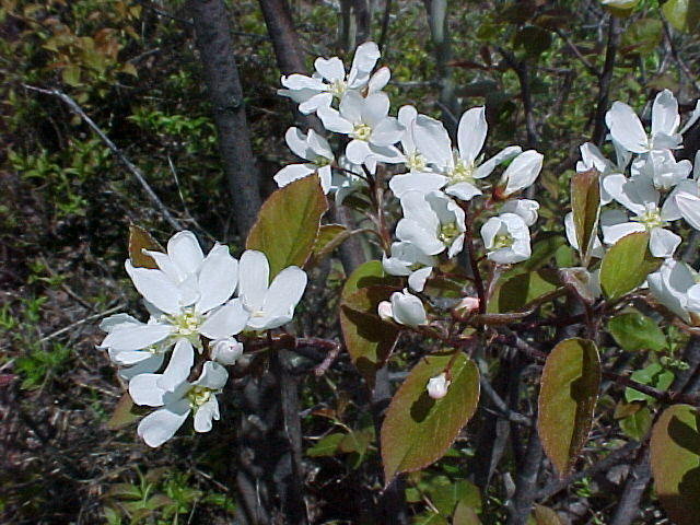 Mvc_004f_001.jpg