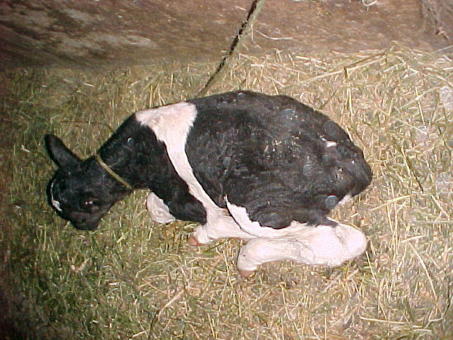 Mvc_004f_003.jpg