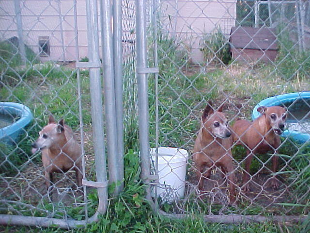 Mvc_004f_007.jpg