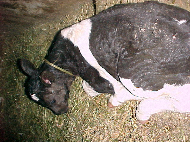 Mvc_005f_003.jpg