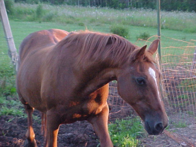 Mvc_006f_006.jpg