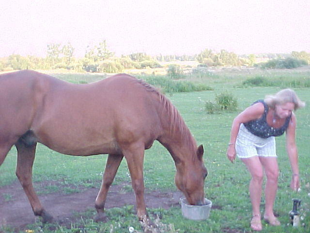 Mvc_011f_006.jpg