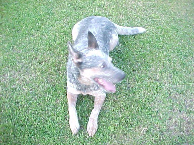 Mvc_012f_005.jpg