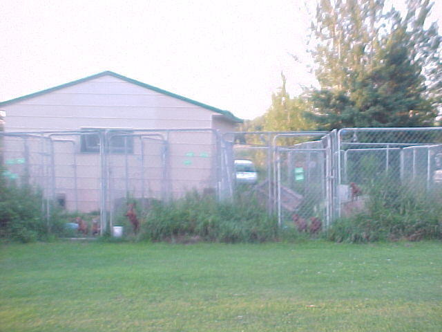 Mvc_013f_004.jpg