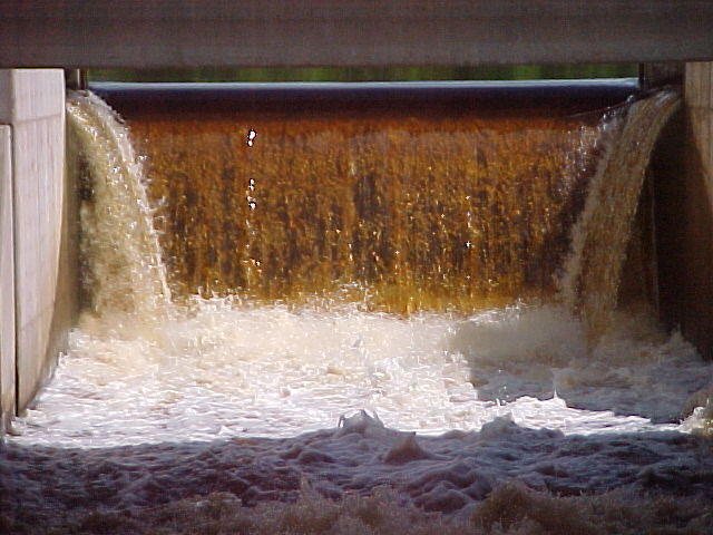 Mvc_014f_001.jpg