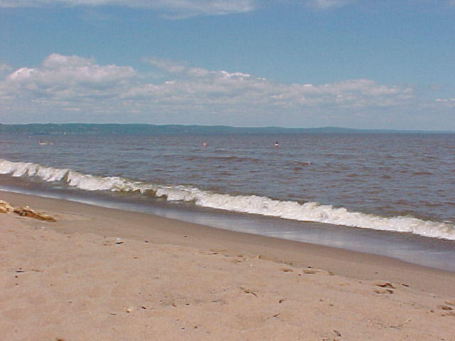 Mvc_008f.jpg