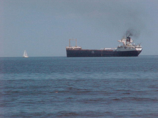 Mvc_019f.jpg