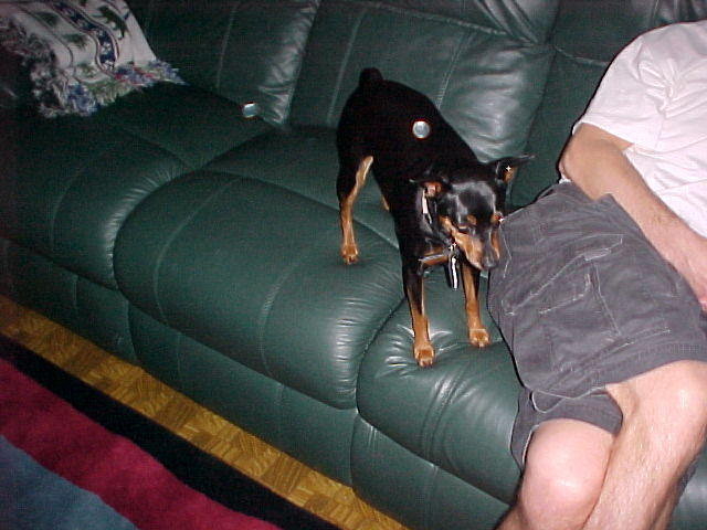Mvc_004f_001.jpg