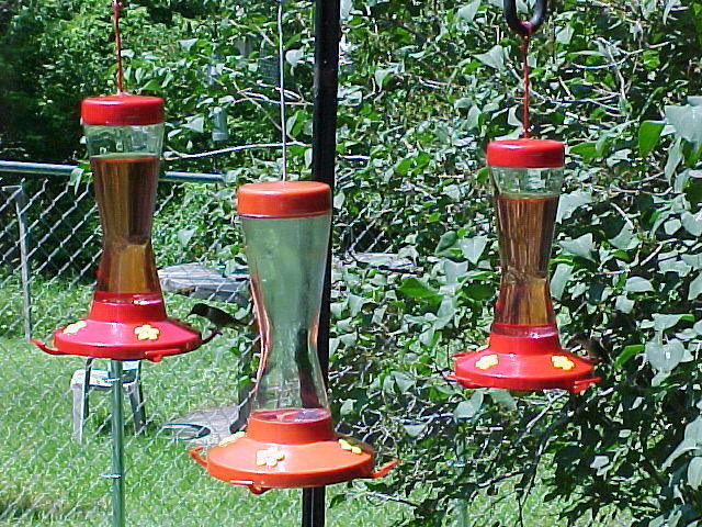 Mvc_004f.jpg