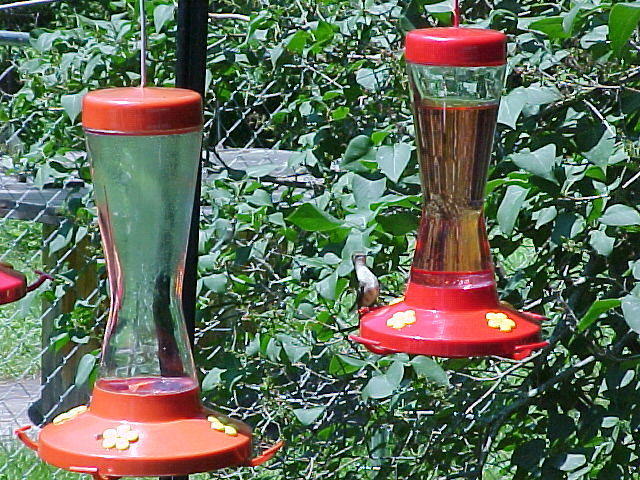 Mvc_006f.jpg