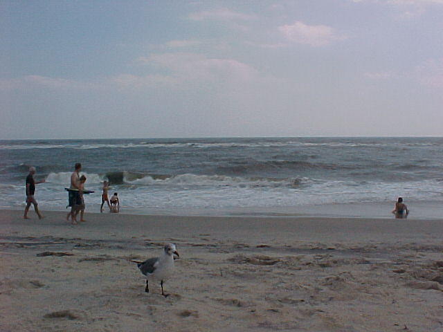 MVC_001F_013.jpg
