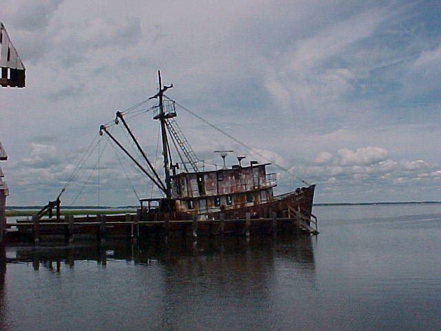 MVC_002F_011.jpg