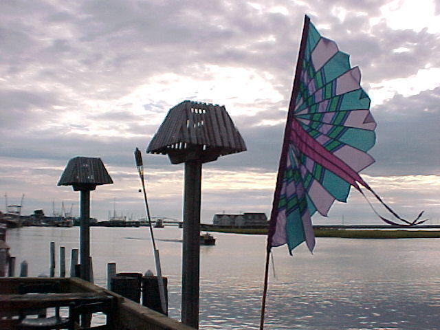 MVC_002F_012.jpg