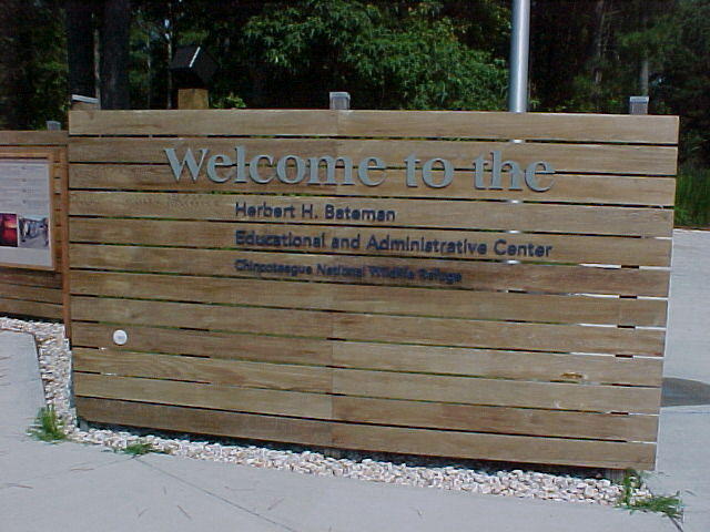 Chincoteague