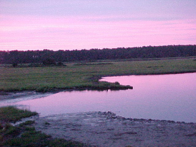 MVC_003F_010.jpg