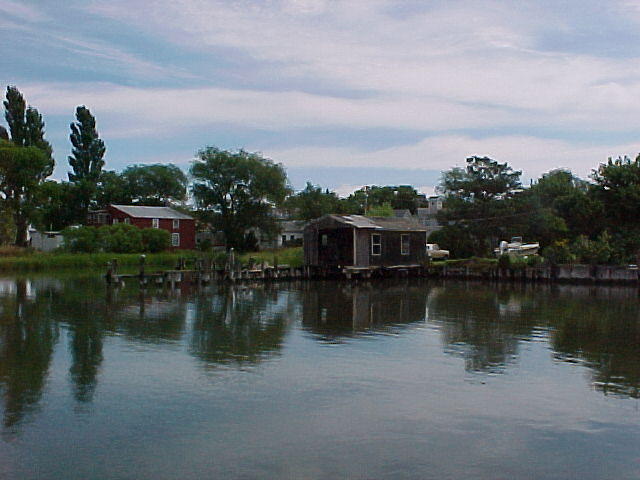 MVC_003F_011.jpg