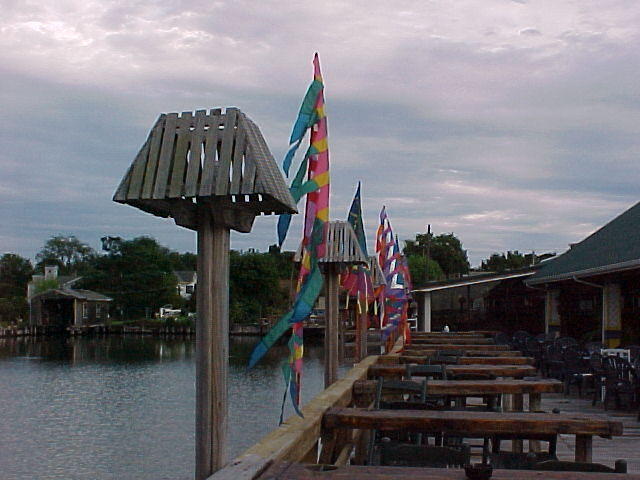 MVC_003F_012.jpg