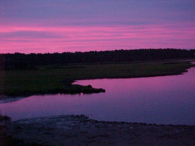 Chincoteague Sky