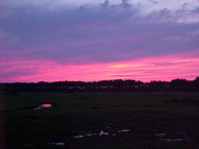Chincoteague Sky