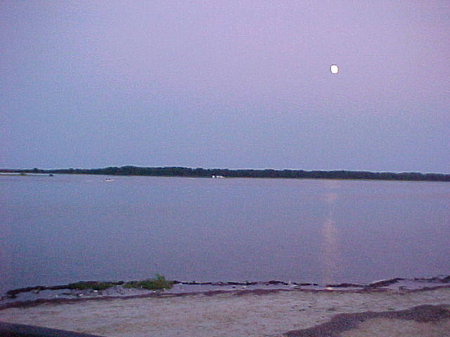Chincoteague