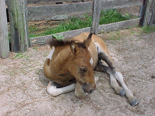 MVC_009F_008.jpg