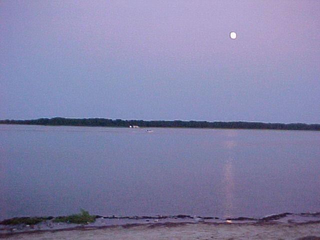 MVC_010F_006.jpg
