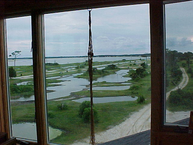 MVC_010F_009.jpg
