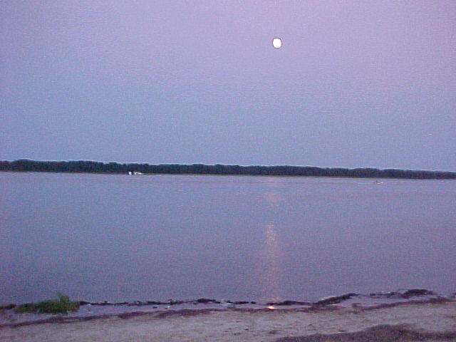 MVC_011F_007.jpg