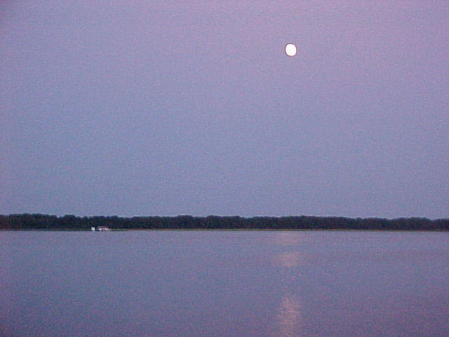 MVC_014F_004.jpg