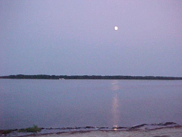 MVC_016F_003.jpg