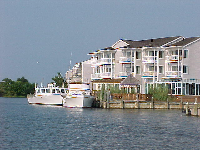 Chincoteague
