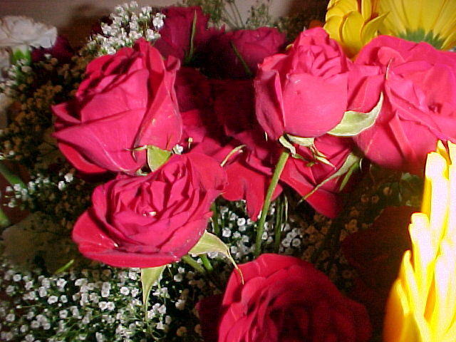 MVC_015F_001.jpg