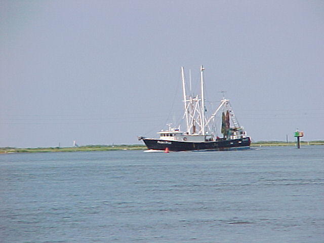 MVC_008F_001.jpg