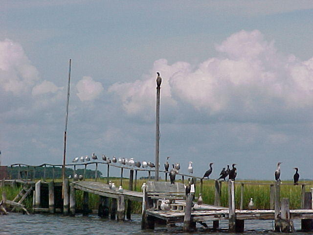 MVC_009F.jpg