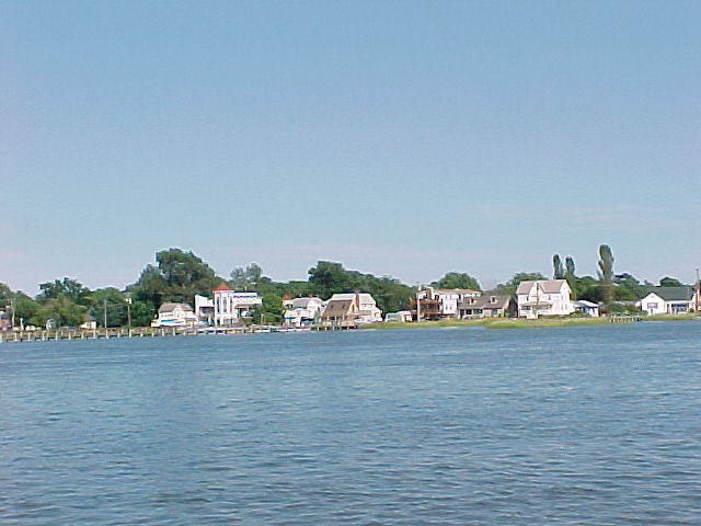 MVC_009F_001.jpg