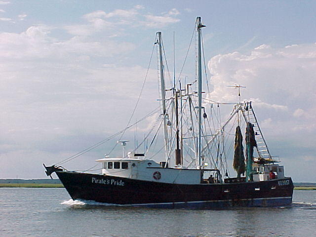 MVC_011F_001.jpg